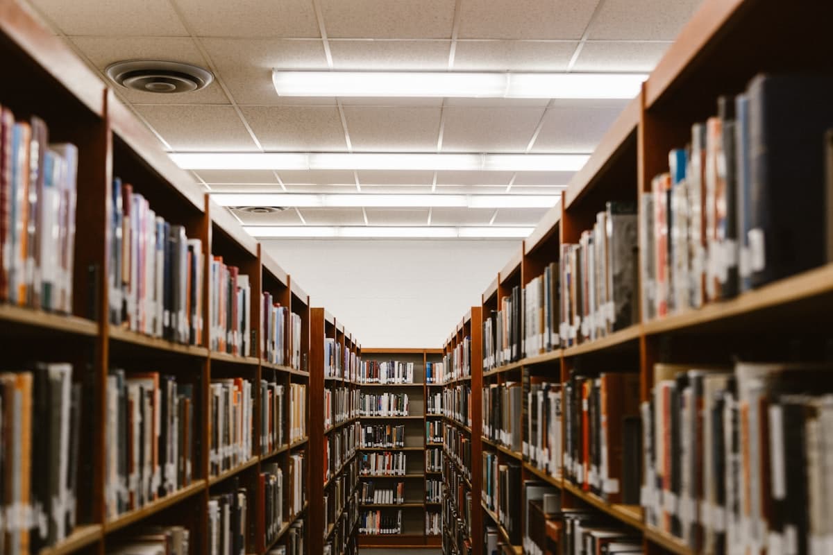 Library shelving in soft focus