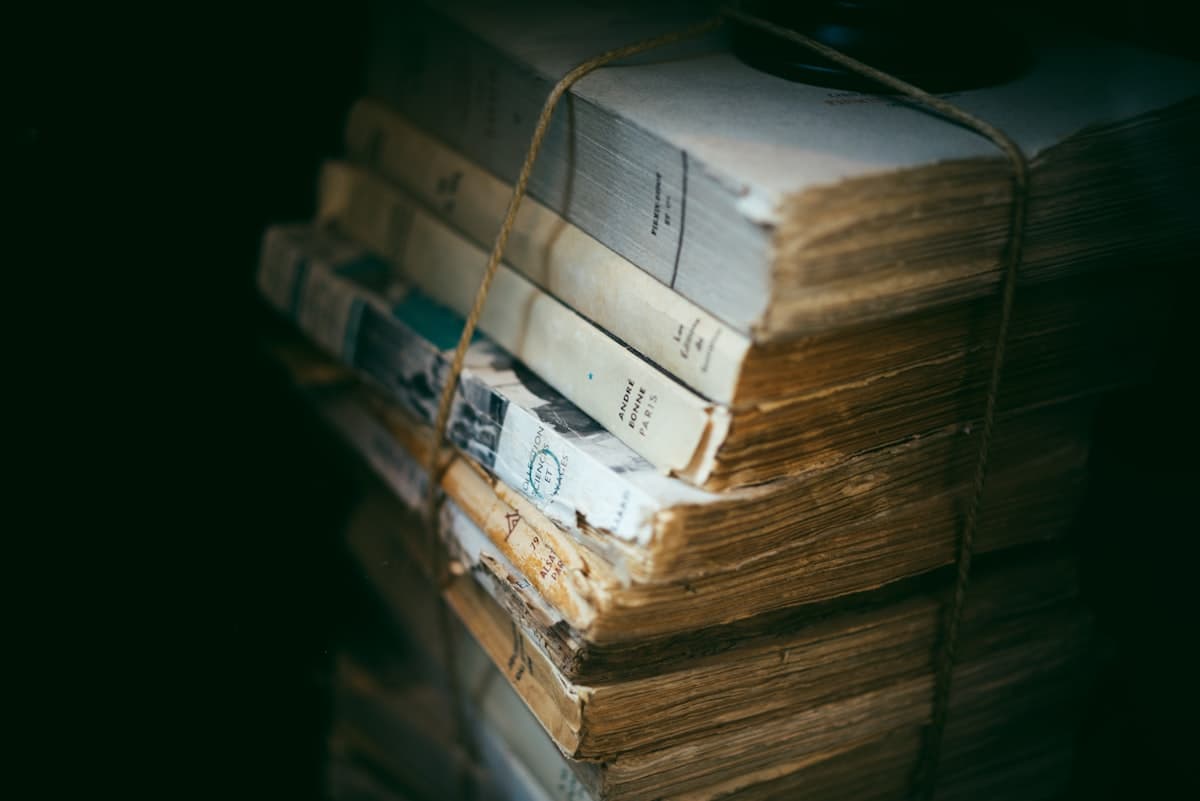 Antique bound volumes on a shelf